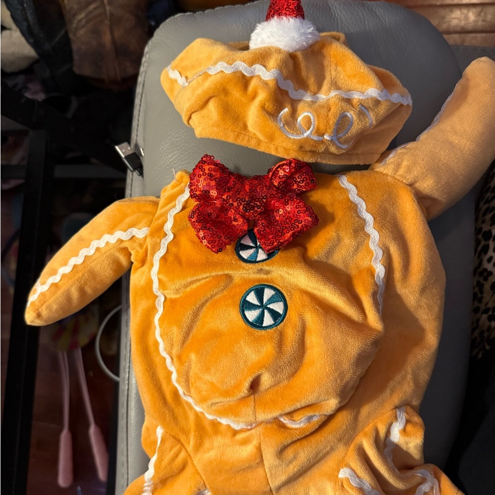 Festive Gingerbread man Pet Costume